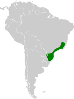 Distribución geográfica del chotacabras coludo.