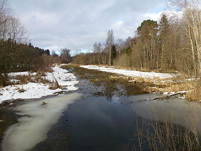 Magelungsdiket söderut från Snösätravägen.