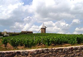 Image illustrative de l’article Moulin-à-vent (AOC)