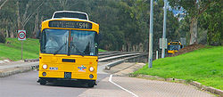 Two yellow buses