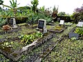 Old German Tombs in Buea