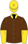 Brown, yellow collar and cap, halved sleeves