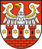 Międzychód County