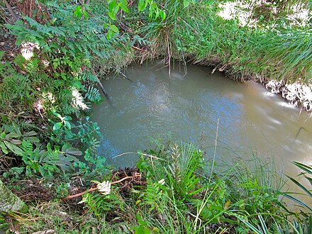 Pakihi Stream re-emerges from its 1 km underground with just a few ripples