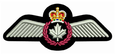RCAF pilot wings