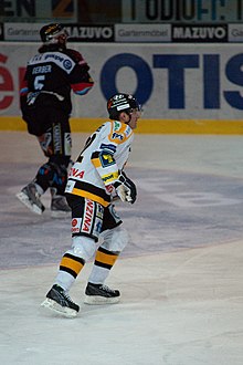 Description de l'image Robert Reichel-Fribourg-Gottéron vs. HC Litvinov, Exhibition game, 20th February 2010.jpg.