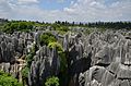 (Stone Forest, southern China)