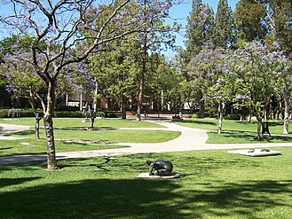 Another view of the garden