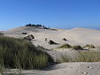 Oregon Dunes}}.