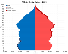 White British and Irish