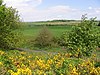 Wiveton Downs