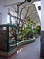 An aviary at the Toruń Zoo