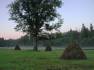 Усадьба Корфов в дер. Раскулицы