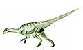 Agilisaurus