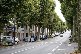 Boulevard à une voie, bordé d'arbres de chaque côté. La pente monte.