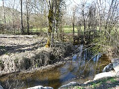 Le Boulou près du lieu-dit le Meyrat à Saint-Crépin-de-Richemont, ZNIEFF du Boulou aval.