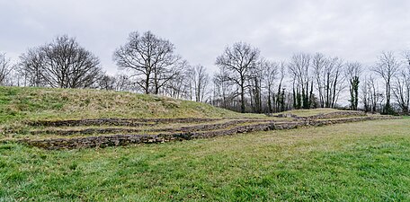 Vue générale du tumulus