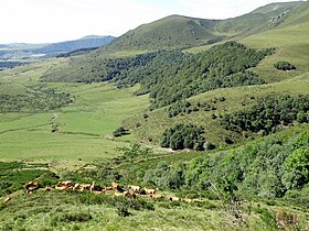 Au fond et au centre, le puy de Surains.