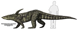 Реконструкция Desmatosuchus spurensis по сравнению с человеком