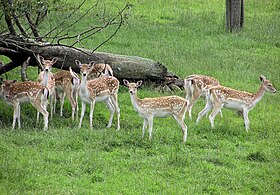 Image illustrative de l’article Avon Valley Country Park