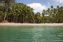 The location of Isla Parida in Panama Gulf