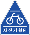 Bicycles crossing