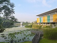 Lake View of the Library