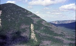 Mount Coe and Coe Glacier in the Cascade Range are named for Henry Coe who platted the town of Hood River, Oregon