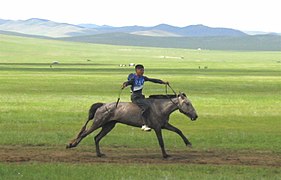 Jeune garçon, à cru, lancé au grand galop sur une piste en terre