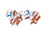 1pkg: Structure of a c-Kit Kinase Product Complex