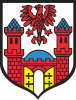 Trzcińsko-Zdrój