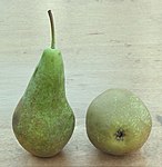 「展會梨」 'Conference' Pear