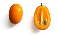 Kumquat fruit cross-section