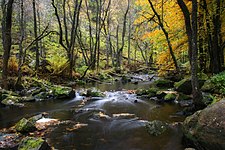 2:a plats, Söderåsens nationalpark.