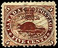 Image 11One of the national symbols of Canada, the beaver is depicted on the Canadian five-cent piece and was on the first Canadian postage stamp, c. 1859. (from Culture of Canada)