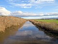 The Taieri River at Allanton