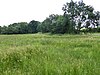 Thelnetham Fen