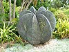 Copper sculpture in Sydney's Royal Botanic Garden depicting folded palm fronds