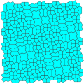 Cairo pentagonal tiling gQ
