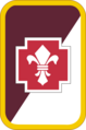 62nd Medical Brigade Shoulder Sleeve Insignia