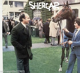 Image illustrative de l’article Shergar