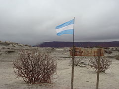 Végétation et drapeau argentin à Ischigualasto en 2012