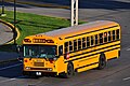 Blue Bird TC3000 school bus