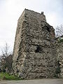 Tour du palais de Boucoléon, 2008