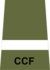 CCF AUO rank slide