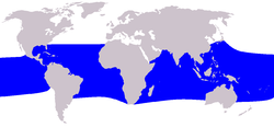 Distribución de Lagenodelphis hosei