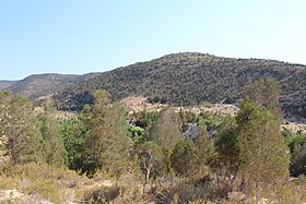 Vue de la montagne en 2022.