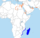 Eastern Libya to southwestern Pakistan, southeast Africa, Madagascar