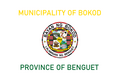 Flag of Bokod