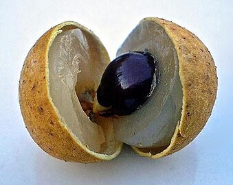 Fruit with flesh, seed, and peel visible